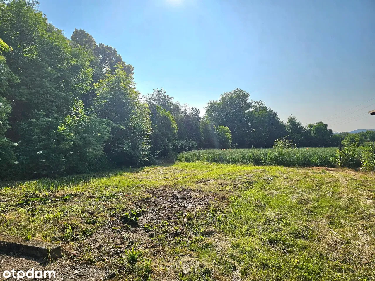 Nieruchomość usługowa, pod przetwórstwo mięsne lub mieszkaniowe.  200 m²