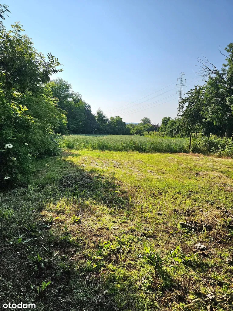 Nieruchomość usługowa, pod przetwórstwo mięsne lub mieszkaniowe.  200 m²